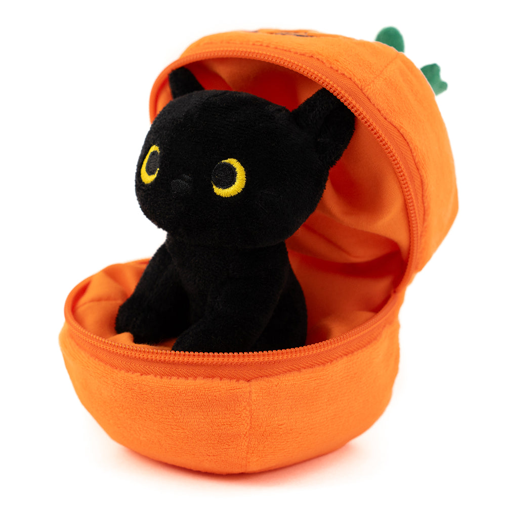 Zip Up Black Cat 6''
