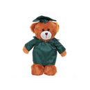 Graduation Mocha Teddy Bear 12"-2