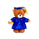 Graduation Mocha Teddy Bear 12"-5