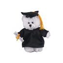 Graduation White Teddy Bear 12"-1