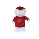Graduation White Teddy Bear 12"-3