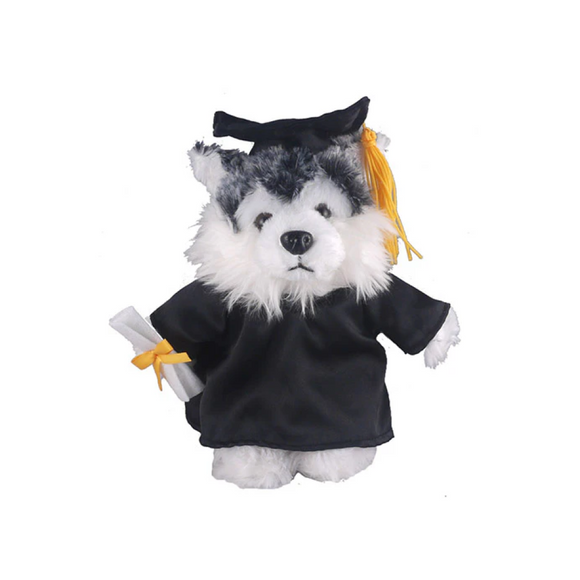 Graduation Husky 12"