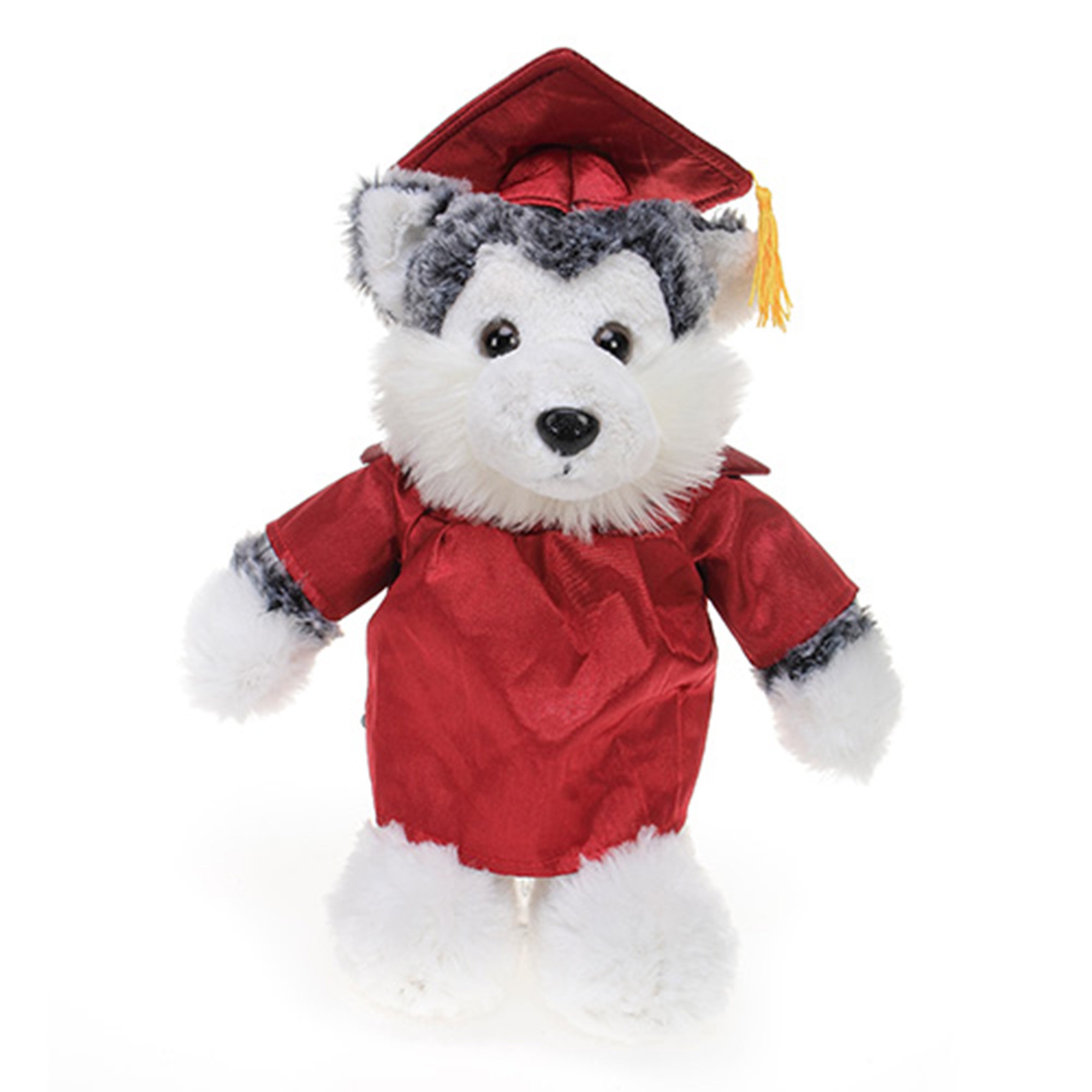 Graduation Stuffed Animal Husky 12"