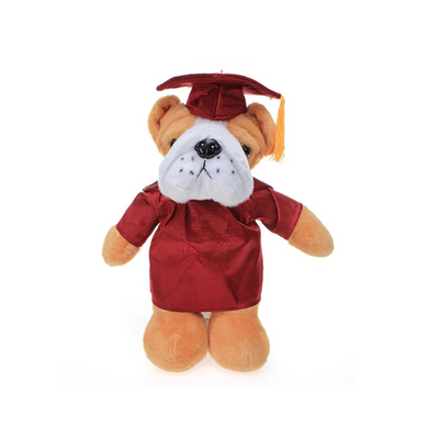 Graduation Bulldog in Custom Gown 12"