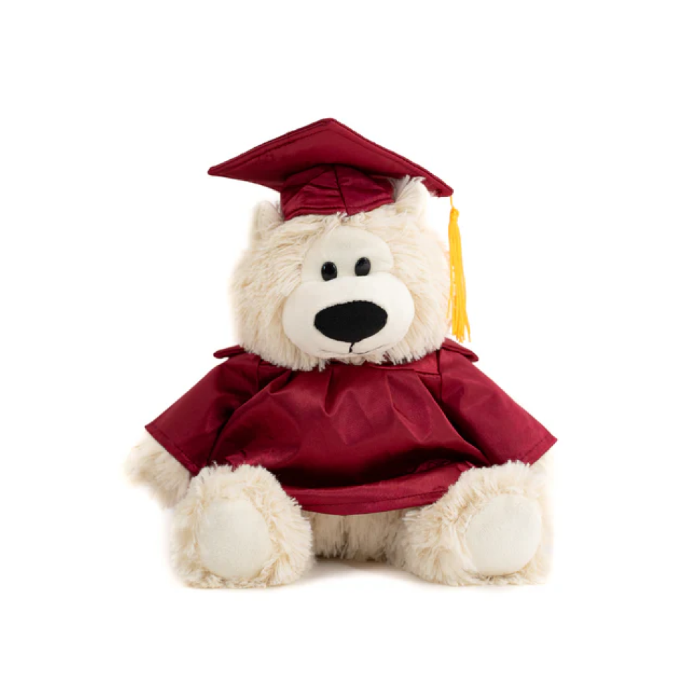 Graduation Bear with Custom Gown 12"