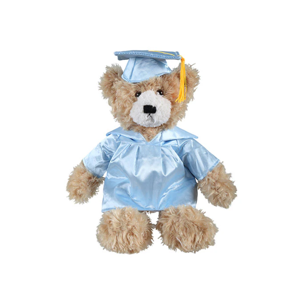 Graduation Brandon Teddy Bear 11"