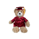 Graduation Brandon Teddy Bear 11"-4