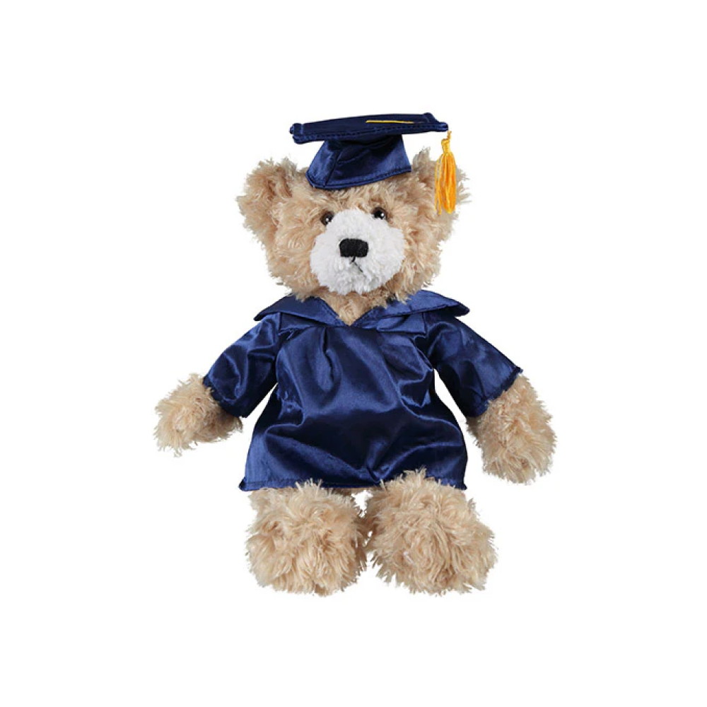 Graduation Brandon Teddy Bear 12"