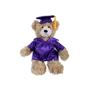 Graduation Brandon Teddy Bear 11"-5