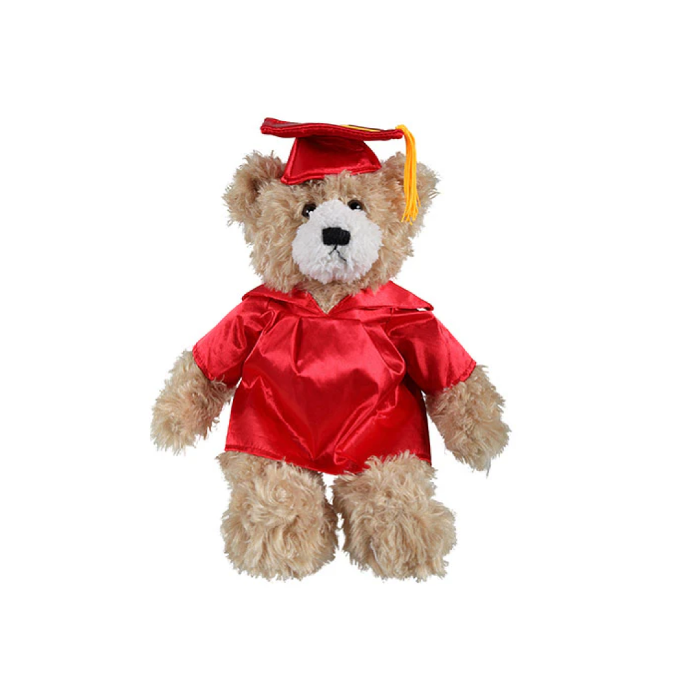 Graduation Brandon Teddy Bear 12"