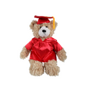 Graduation Brandon Teddy Bear 11"-7