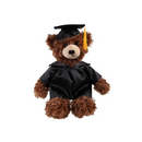 Graduation Brandon Teddy Bear 12"-3