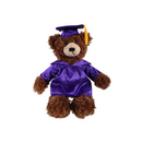 Graduation Brandon Teddy Bear 12"-6