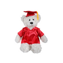 Graduation Brandon Cream Bear 12"-8