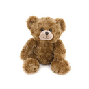 Duffy Stuffed Bear 10"-9