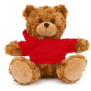 Customized Mocha Bear with Hoodie 11"-49