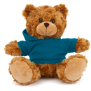 Customized Mocha Bear with Hoodie 11"-57