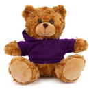 Customized Mocha Bear with Hoodie 11"-53