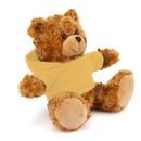 Customized Mocha Bear with Hoodie 11"-46