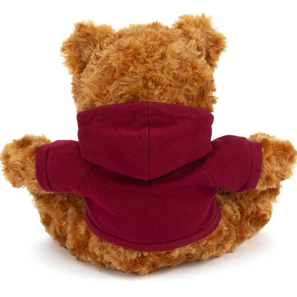 Customized Mocha Bear with Hoodie 11"