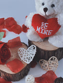 Valentine Cream Love Bear Holding a Heart 6"-4