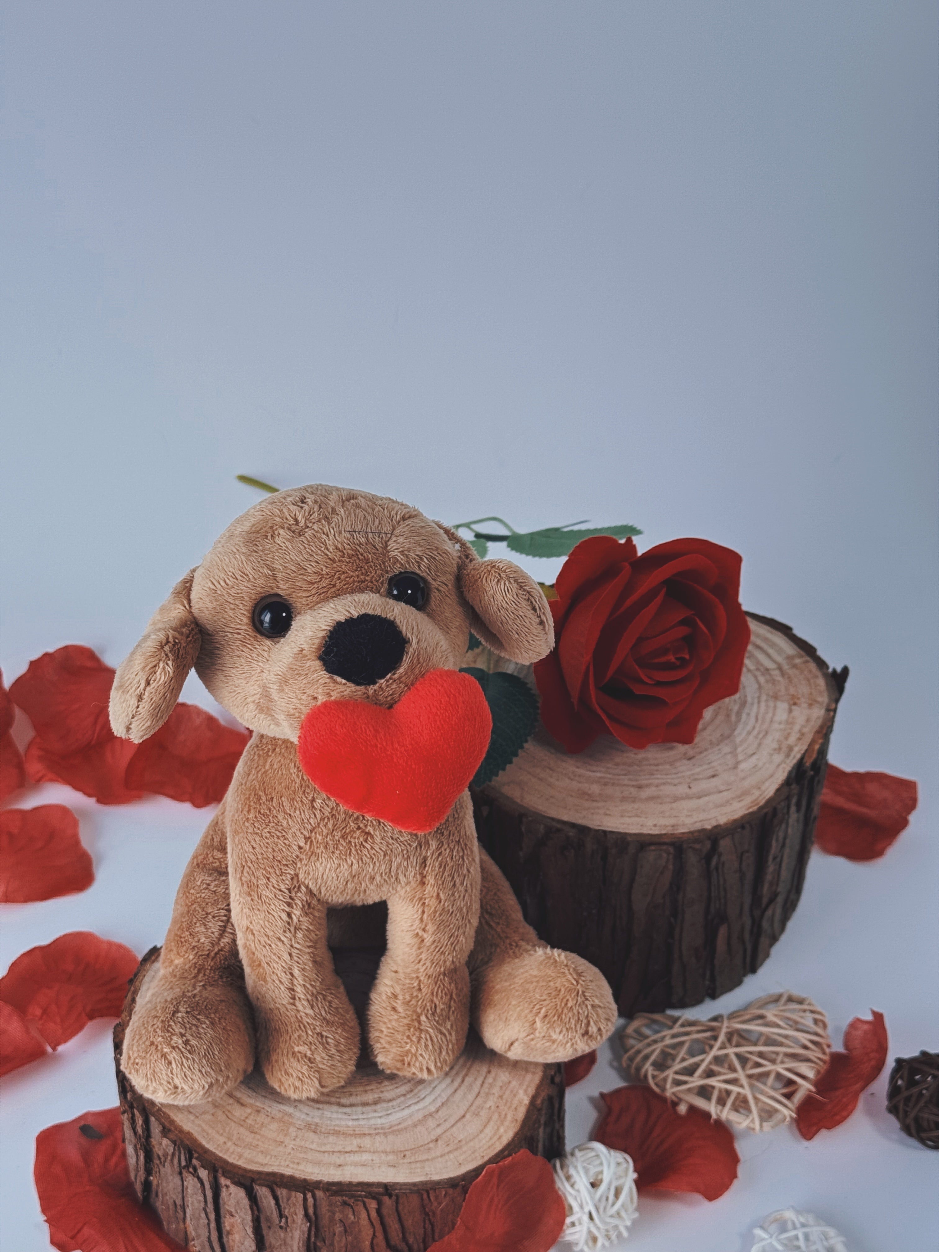 Valentine Pawpals Dog 8''