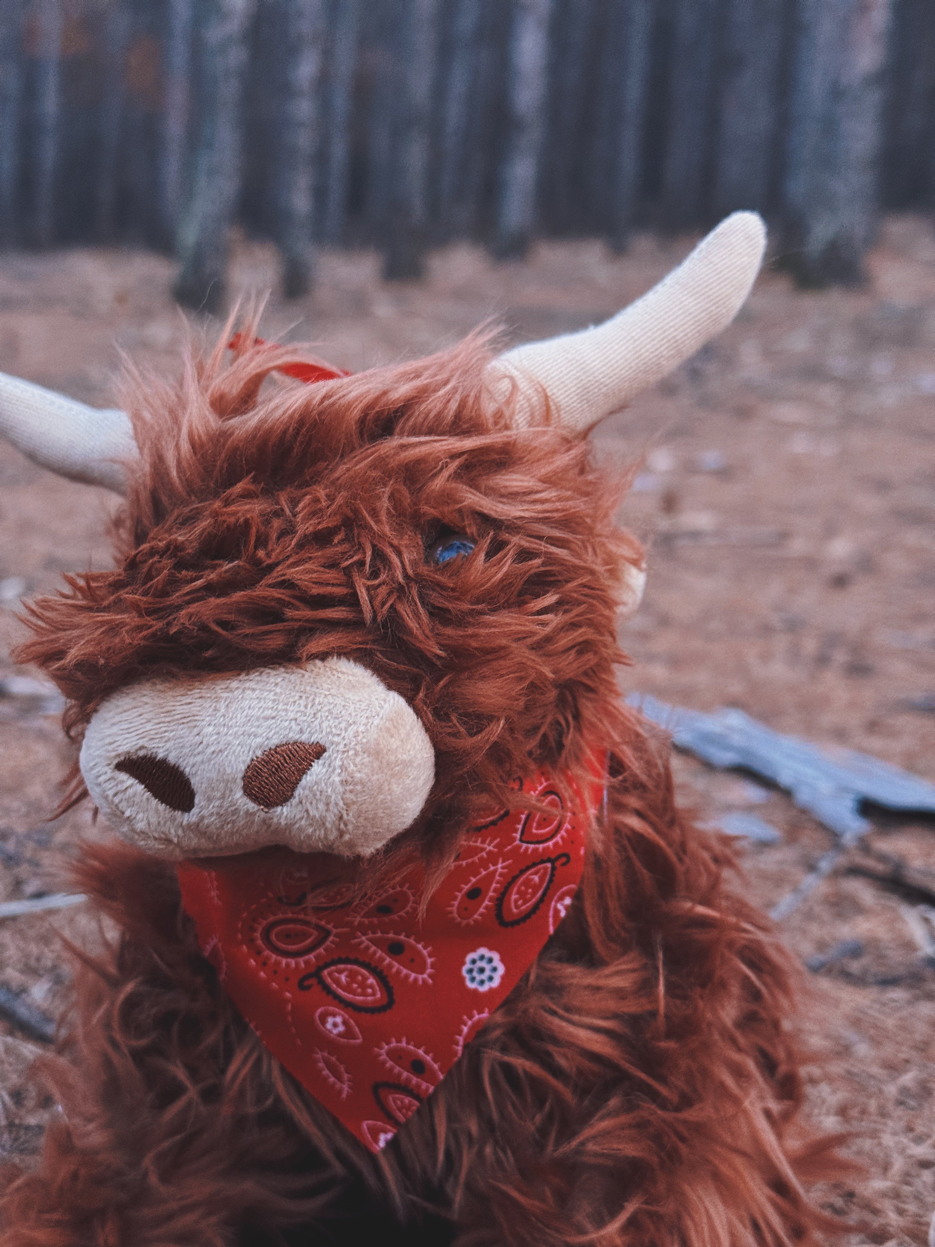 Highland Cow with Moo Soun 10"