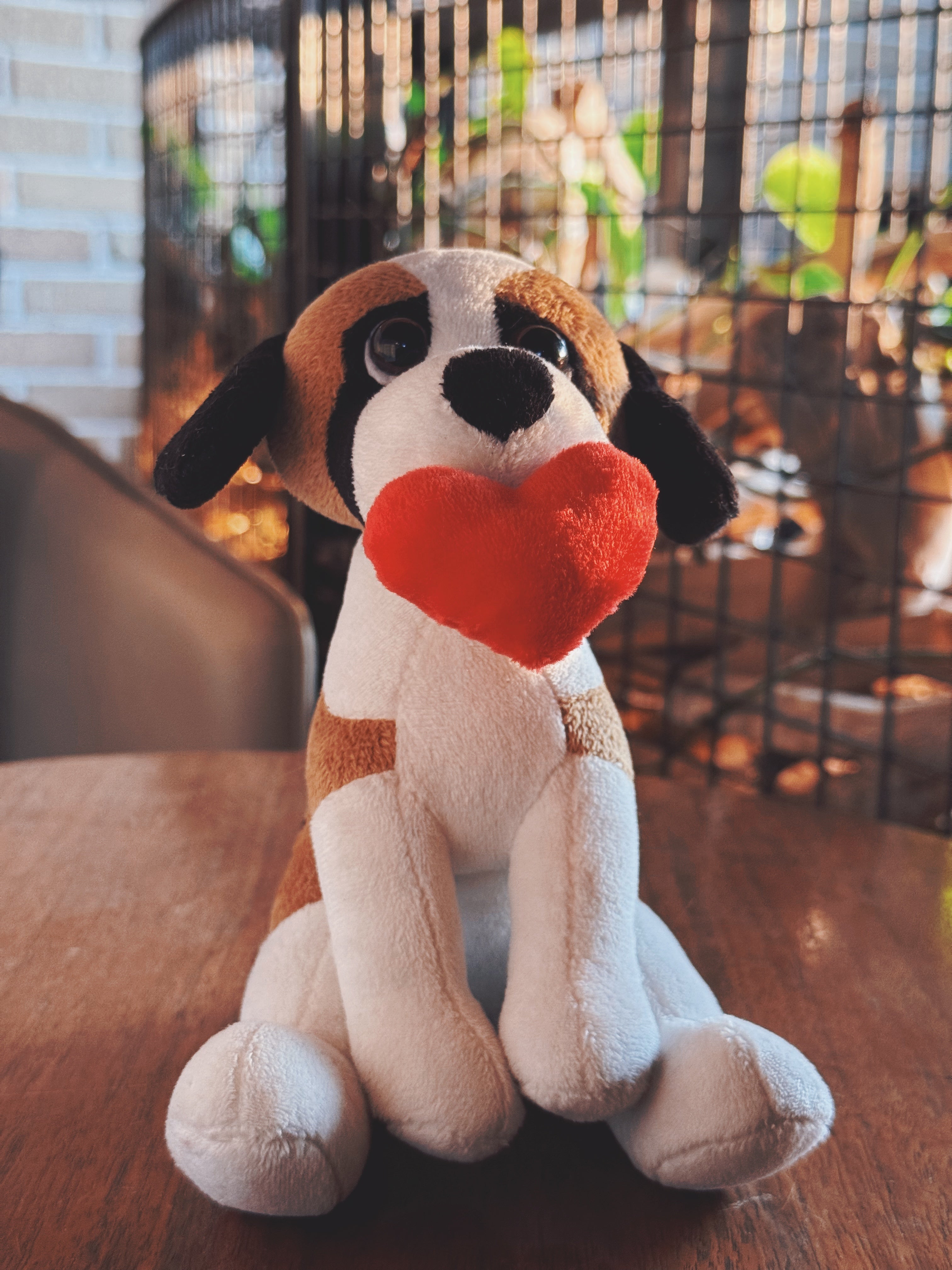 Valentine Pawpals Dog 8''