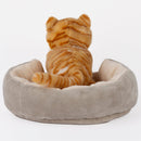 Cattery W/ tabby cat - additional plush stuffed animal photo 17
