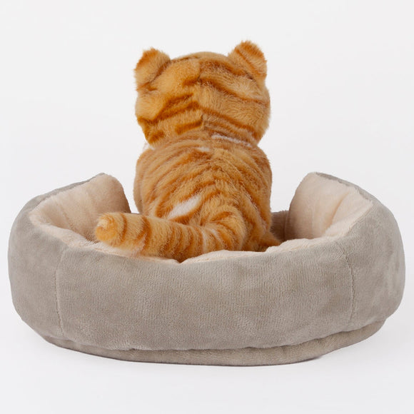 Cattery W/ tabby cat - additional plush stuffed animal photo 17