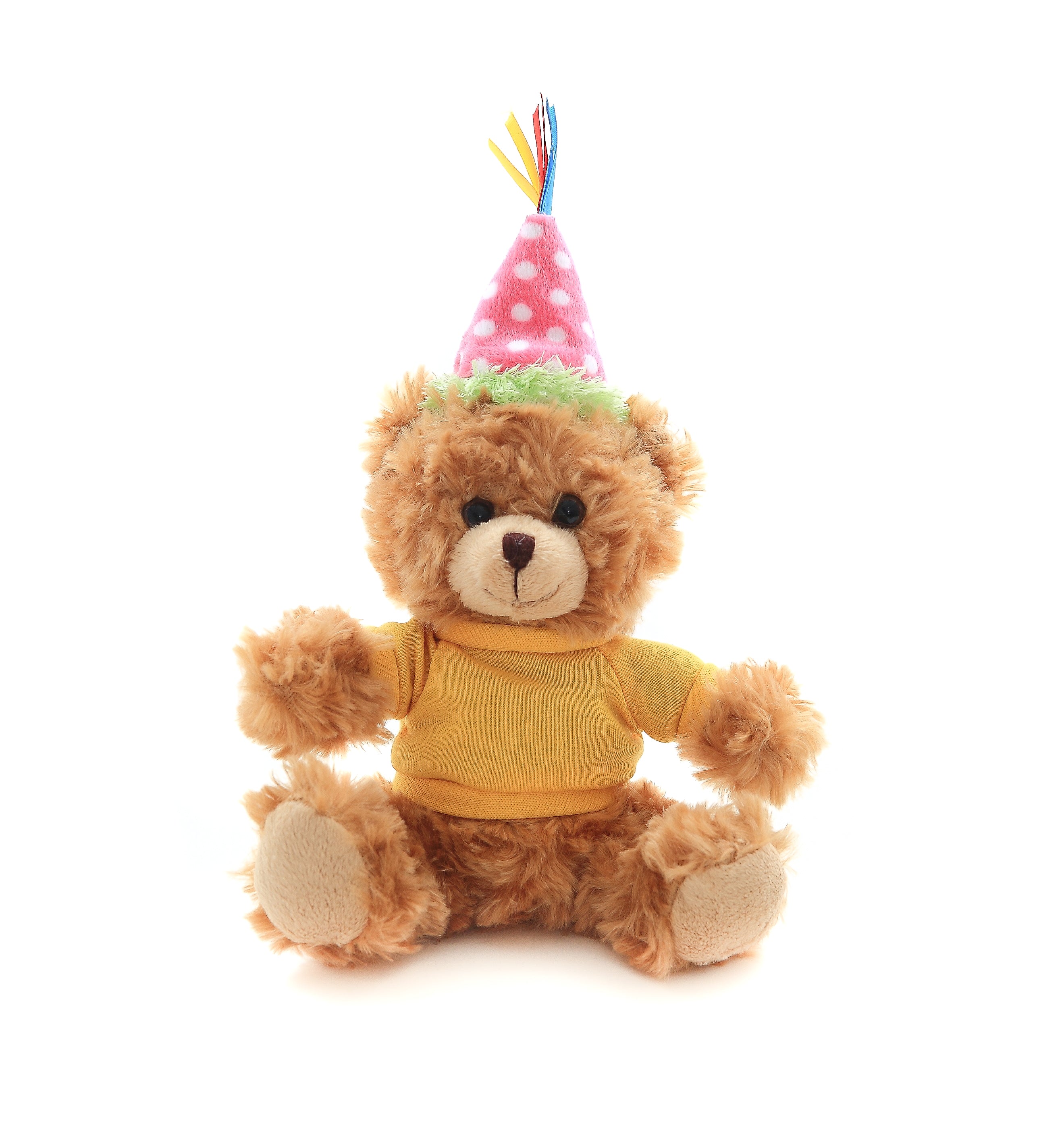 Mocha Teddy Bear for Birthday 6"