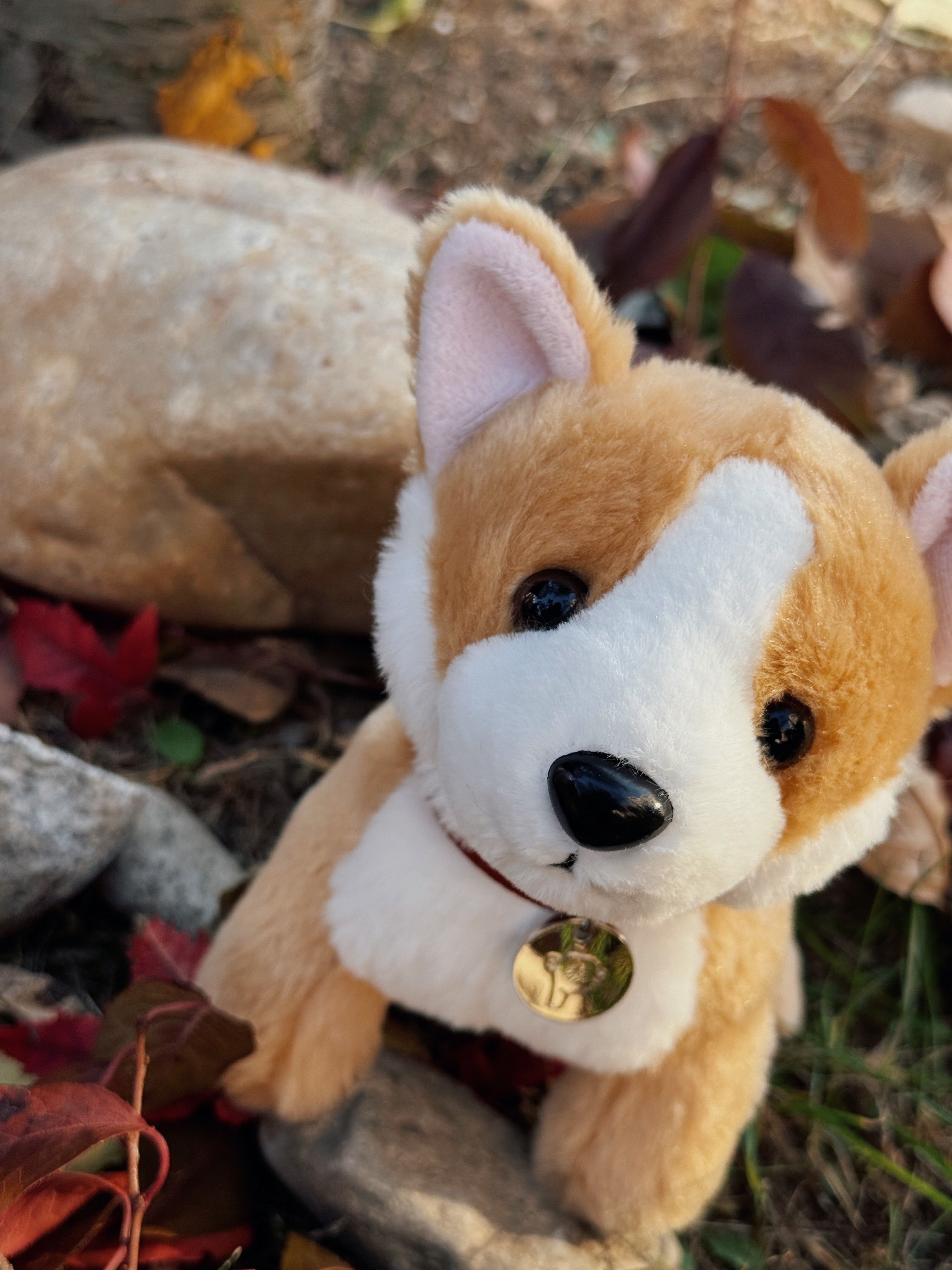 8" Butterscotch the Corgi with Collar, Featuring Soft and Standing on a Cute Base by Plushland.