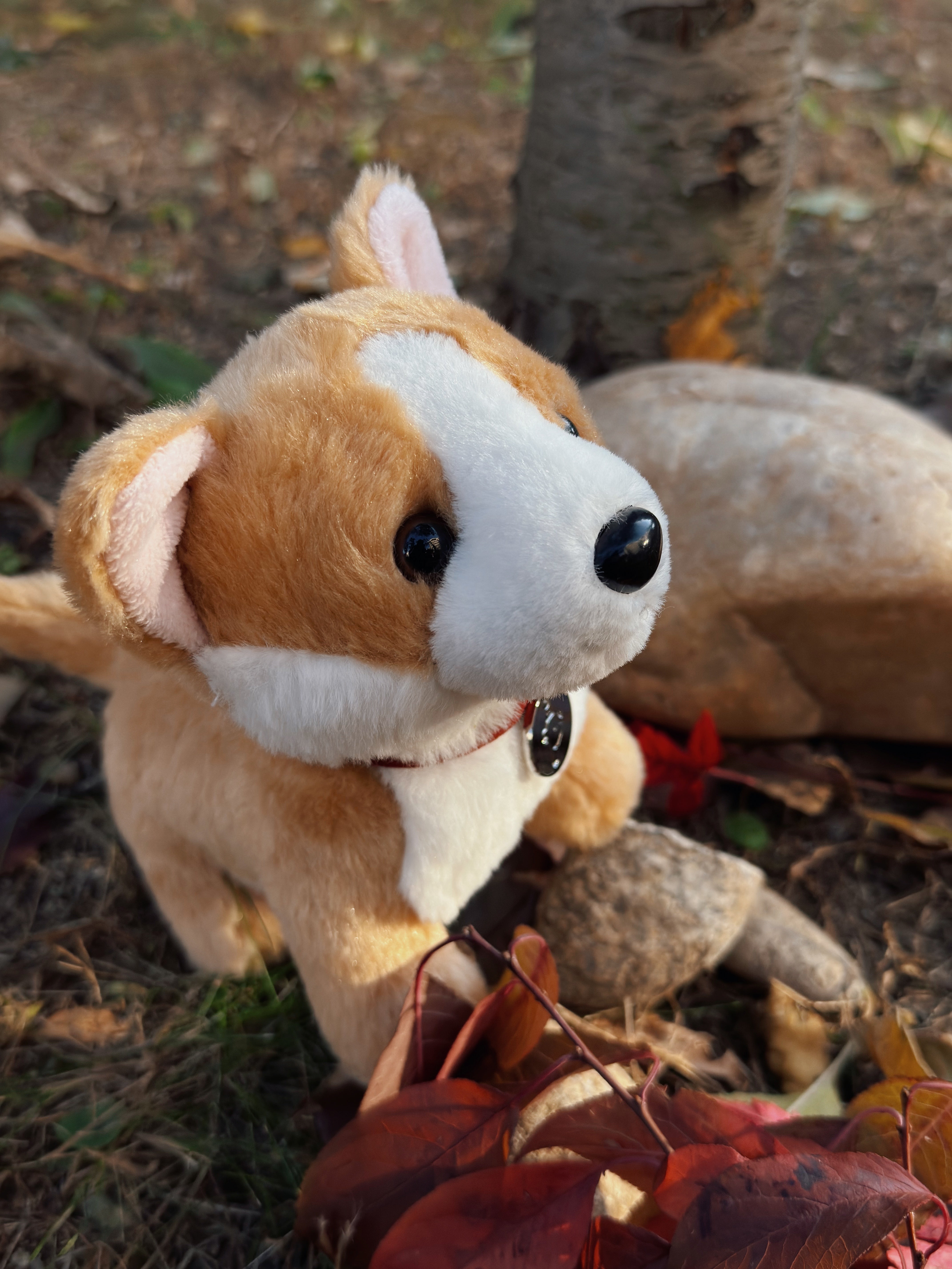 8" Butterscotch the Corgi with Collar, Featuring Soft and Standing on a Cute Base by Plushland.