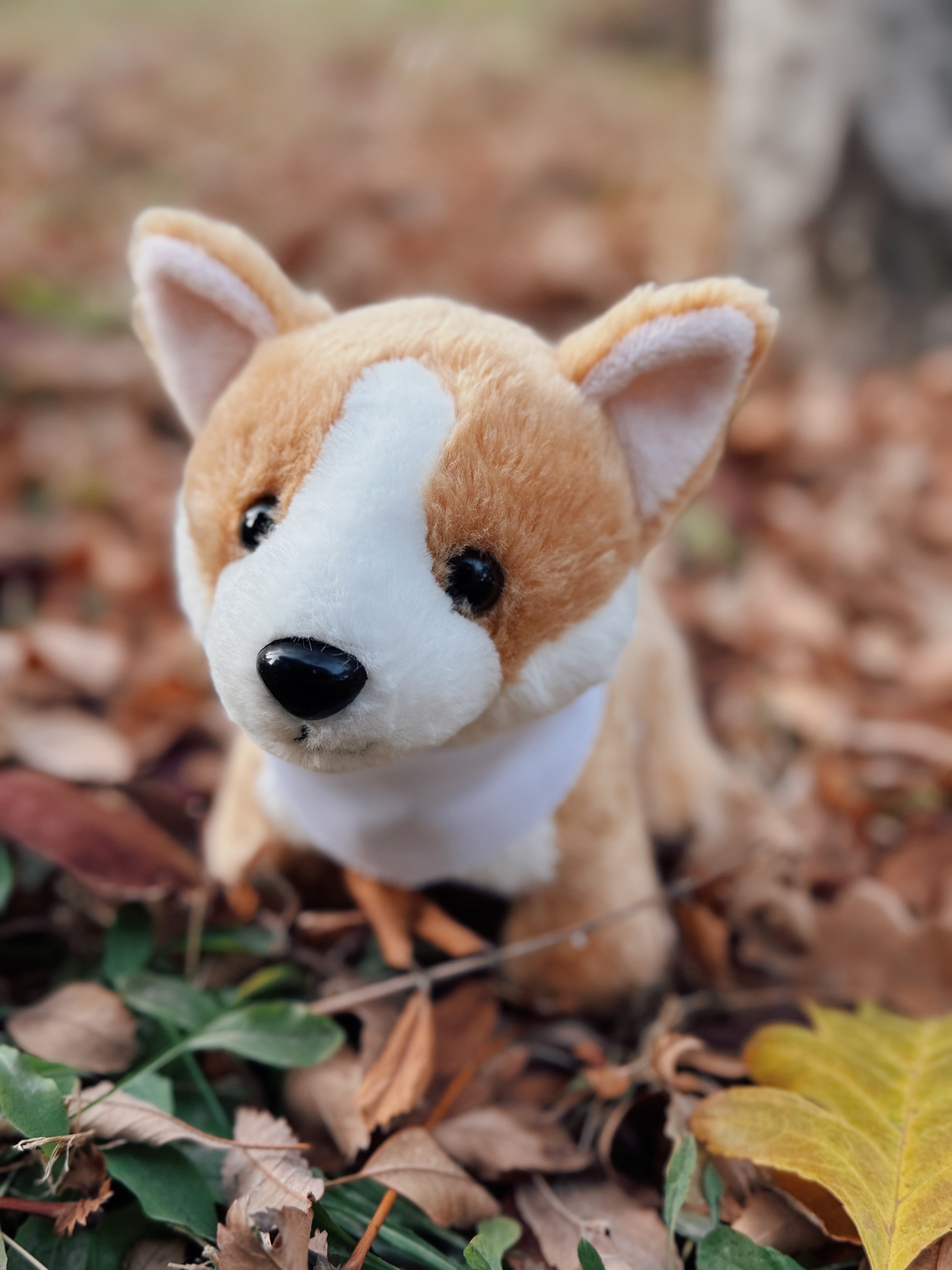 8" Butterscotch the Corgi with Collar, Featuring Soft and Standing on a Cute Base by Plushland.