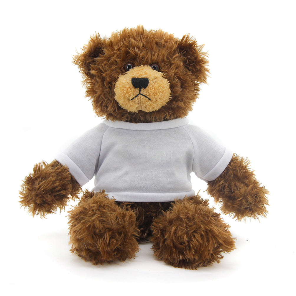 Brandon Chocolate Teddy Bear - 11"