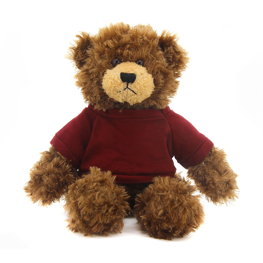 Brandon Chocolate Teddy Bear - 11"