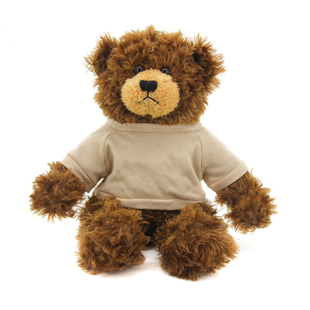 Brandon Chocolate Teddy Bear - 11"