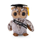 Graduation Plush Owl with Cap & Sash 9"-1