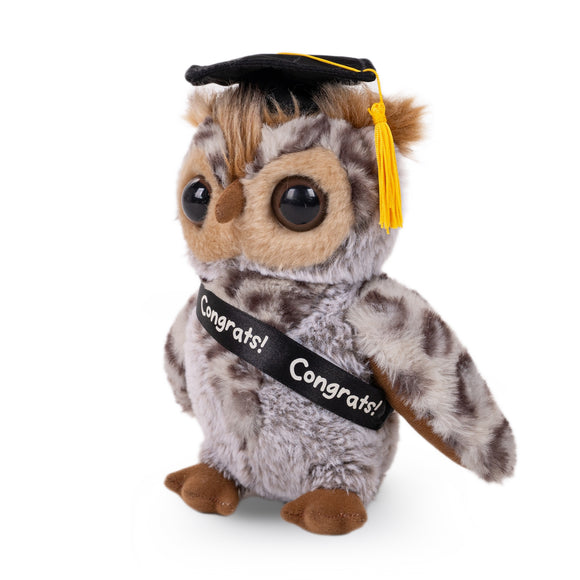 Graduation Plush Owl with Cap & Sash 9"