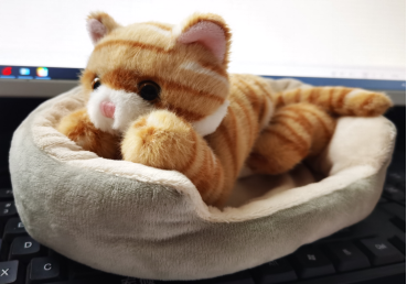 Cattery W/ tabby cat 8"