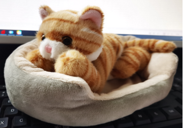 Cattery W/ tabby cat 8"