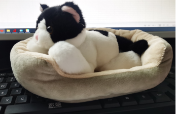 Cattery W/Black-and-White Cat 8"