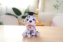 Brown dalmatian graduation stuffed animal with cap from Pawpal collection.