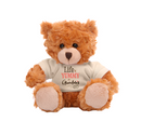6" Sitting Mocha Bear with 'Life is Yummy' Tee, Featuring Soft Fur and a Cute Shirt by Plushland.