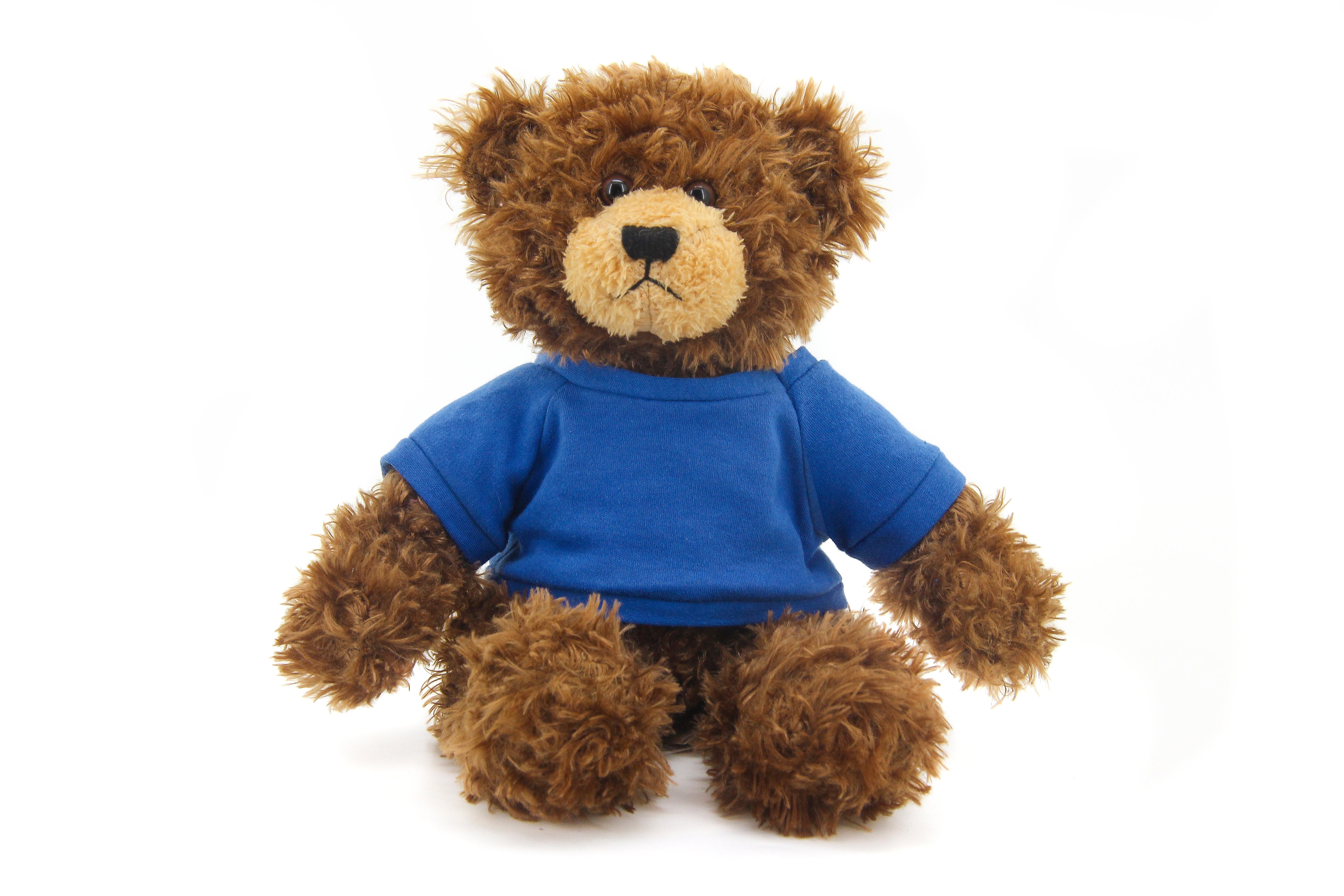 Brandon Beige Bear with Shirt 12"