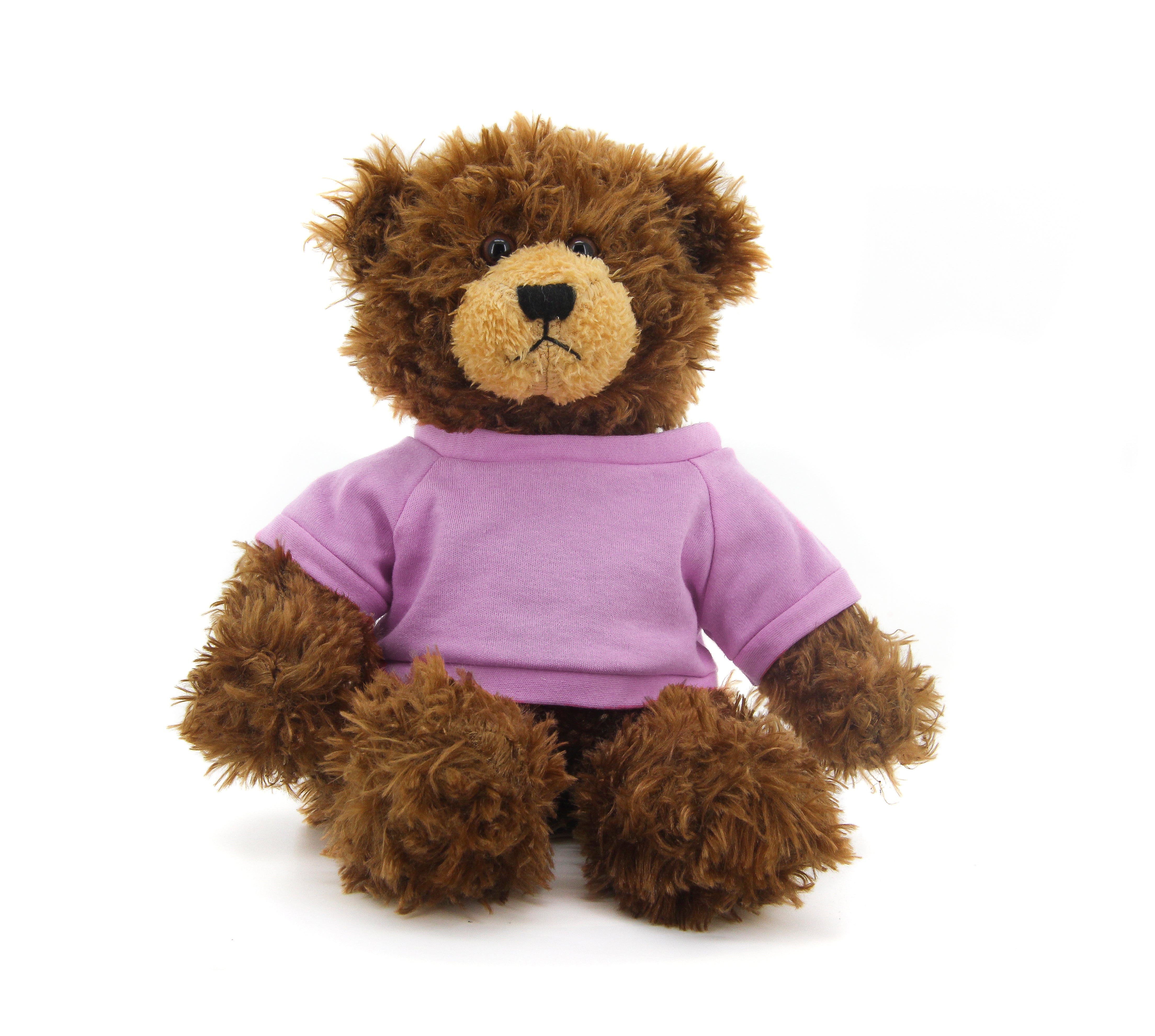 Brandon Beige Bear with Shirt 12"