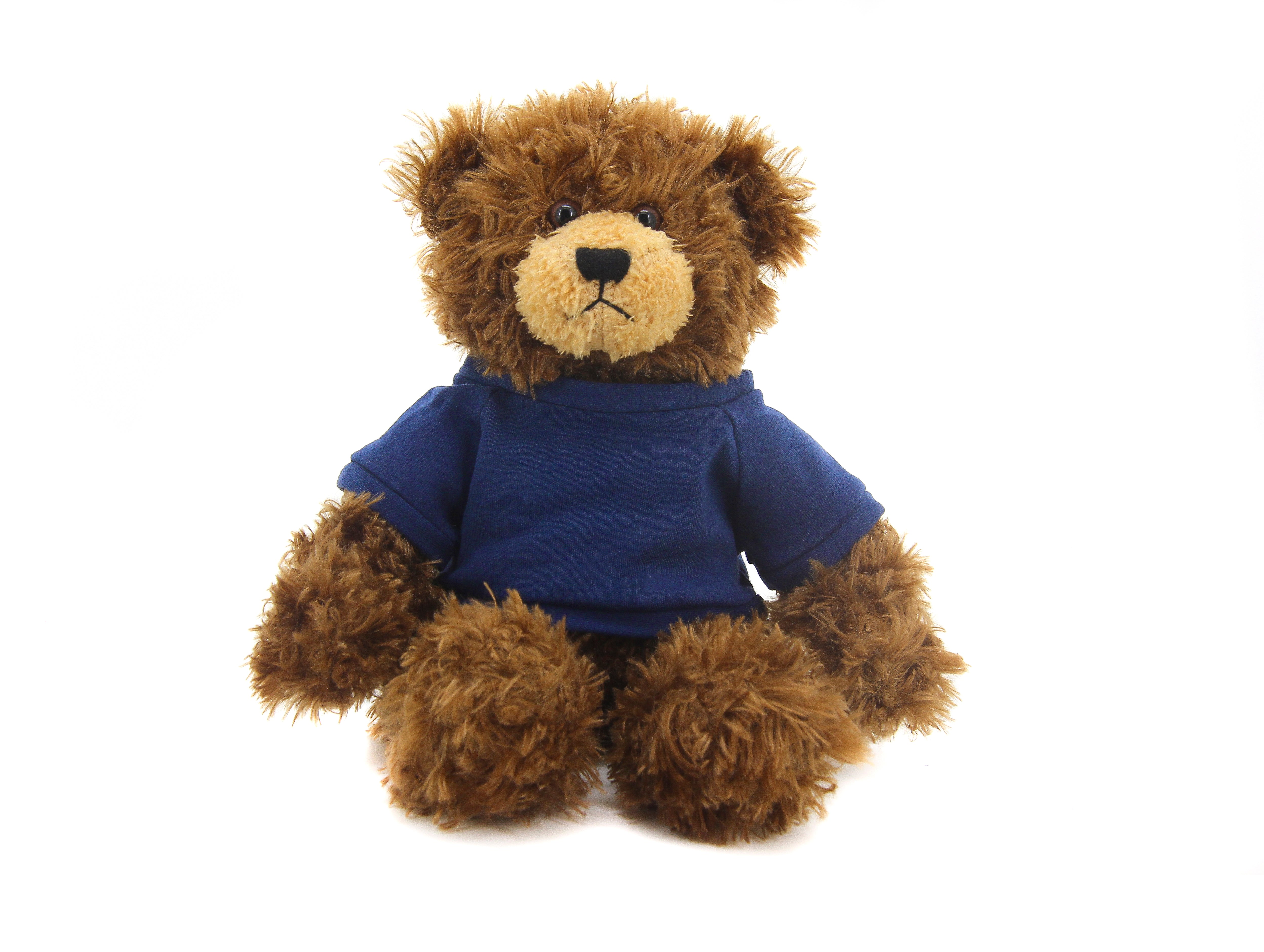 Brandon Beige Bear with Shirt 12"