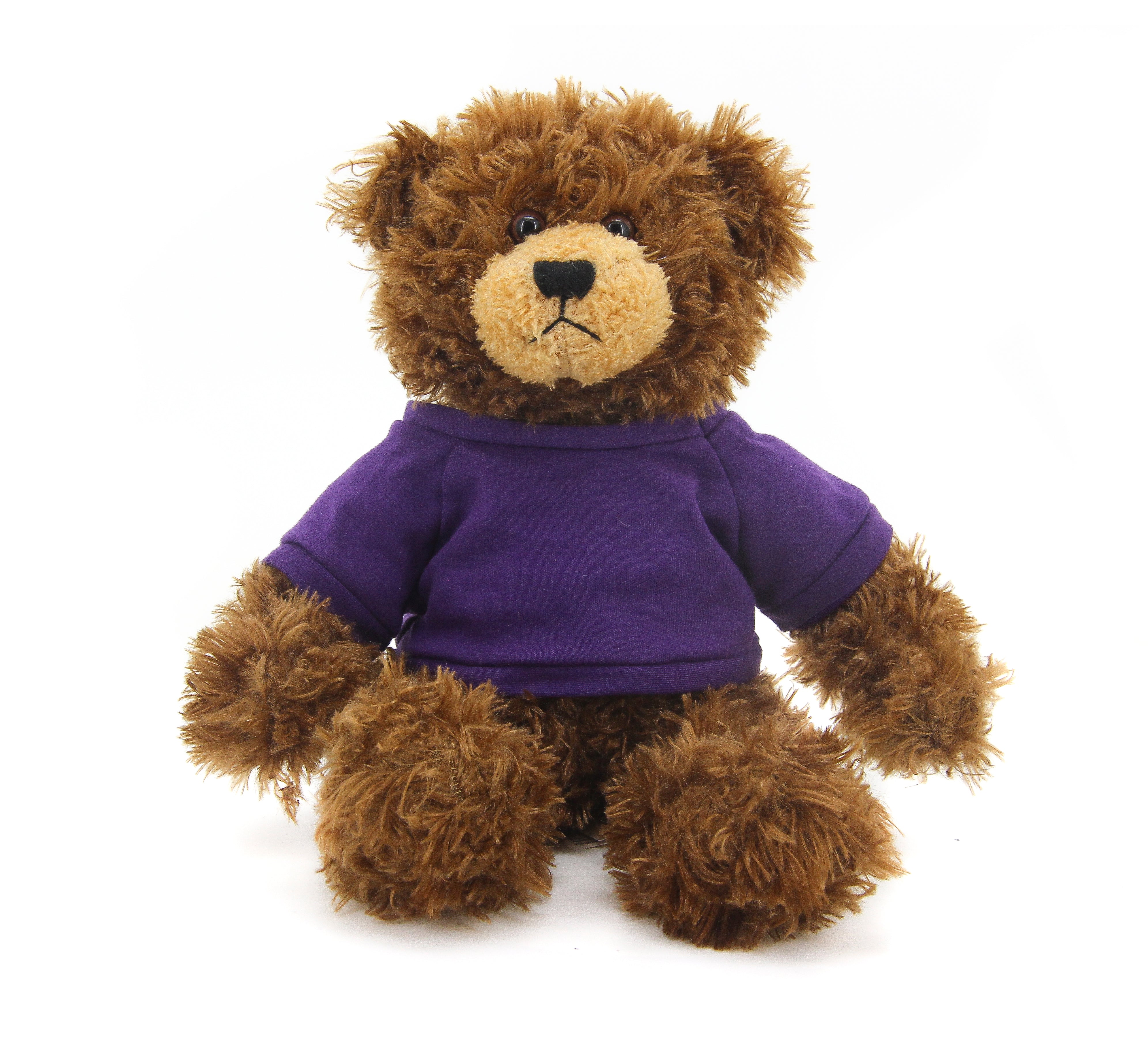 Brandon Beige Bear with Shirt 12"