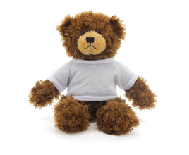 Brandon Beige Bear with Shirt 12