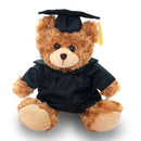 Teddy bear in a graduation gown and cap on a white background